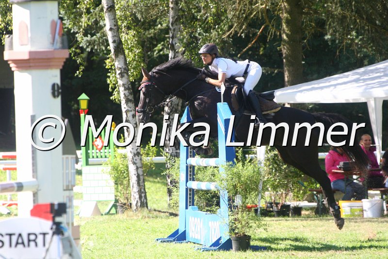 308M1300_Spring L.JPG